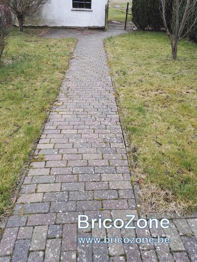 IMG_20170304_094448.jpg