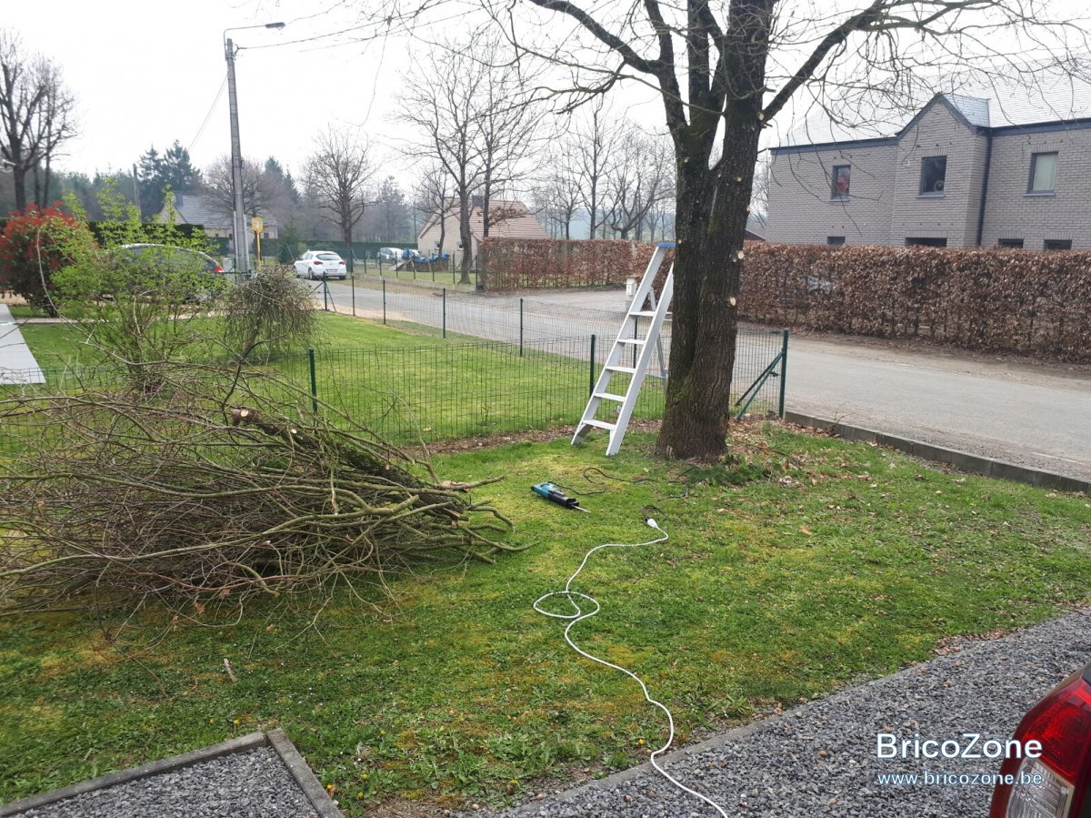 20170408_103102.jpg