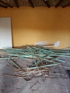 20170325_170935.jpg