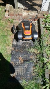 IMG_20170515_115643.jpg