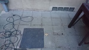 DSC_0101.JPG.jpg