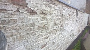 WP_20170702_10_47_26_Pro.jpg