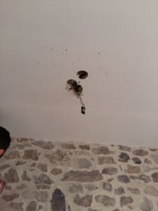 20170805_093655.jpg