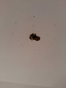 20170805_093659.jpg