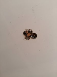20170805_093705.jpg
