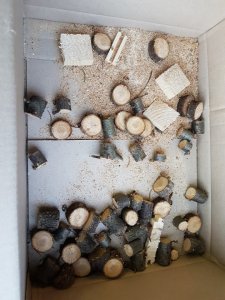 20170808_202919 (Large).jpg