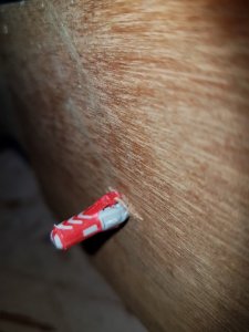 20170811_155916 (Large).jpg