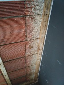 IMG_20170107_151119.jpg