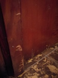 IMG_20170913_073948.jpg