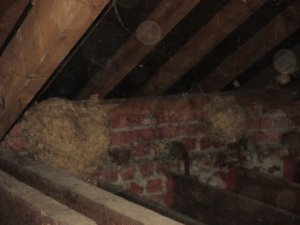 IMG_1623.JPG