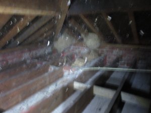 IMG_1627.JPG
