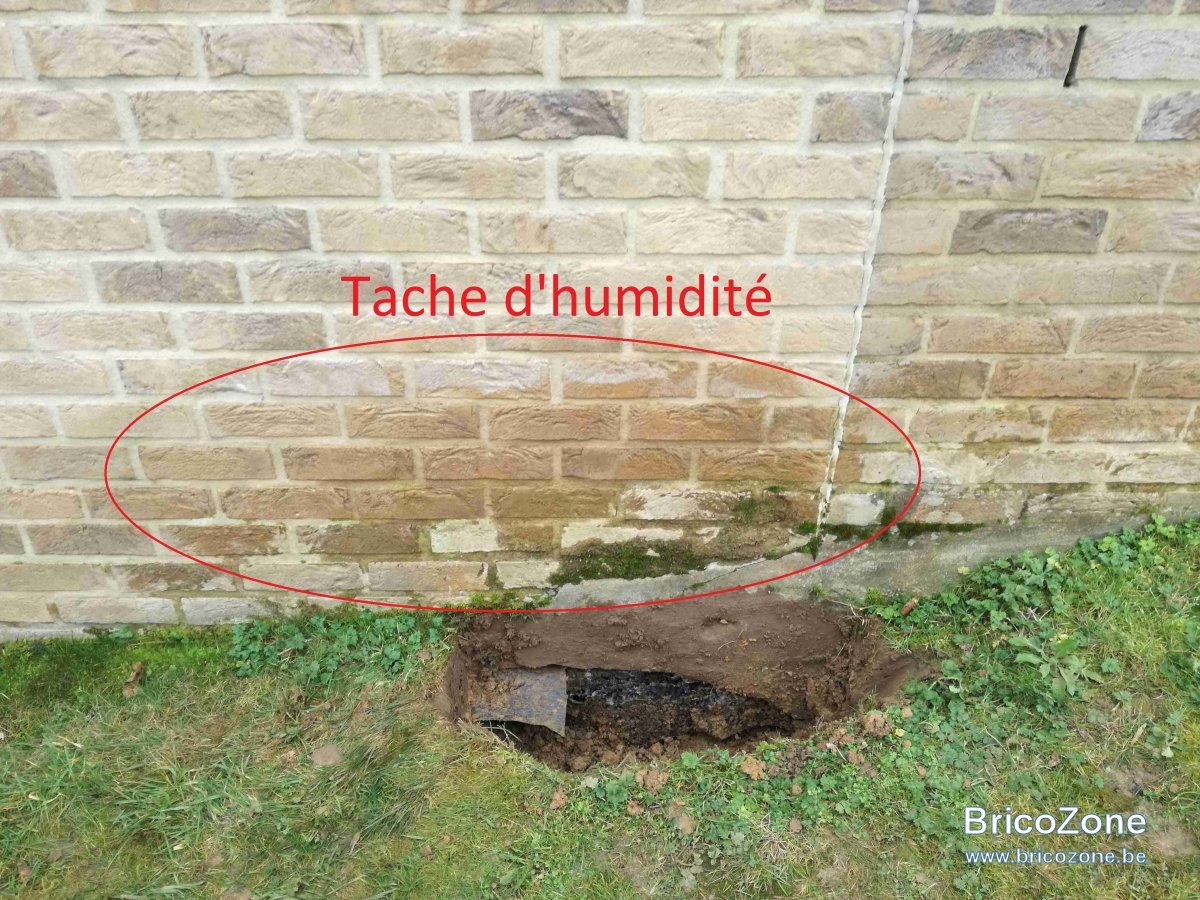 Humidité cave semienterrée — free download