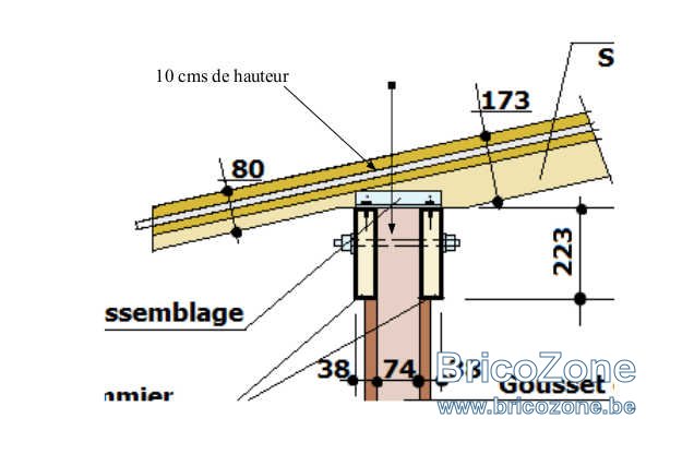 10 cms.jpg