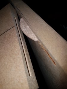 biscuit (Medium).jpg