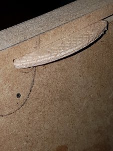 biscuit2.jpg