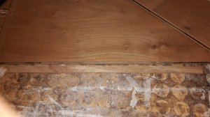 20180329_094957.jpg