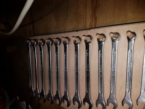 20180408_204102 (Medium).jpg