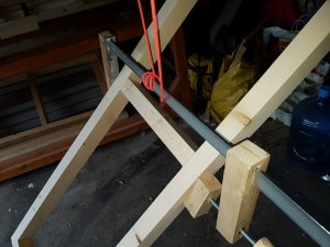 20180412_110439 (Medium).jpg