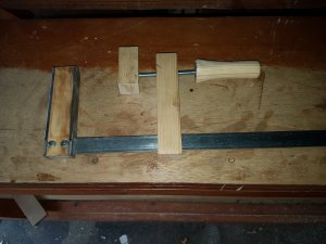 20180412_110652 (Medium).jpg