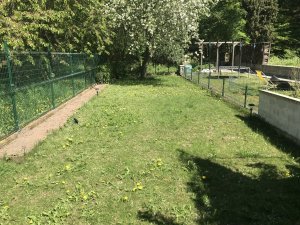 IMG_0742[1].JPG