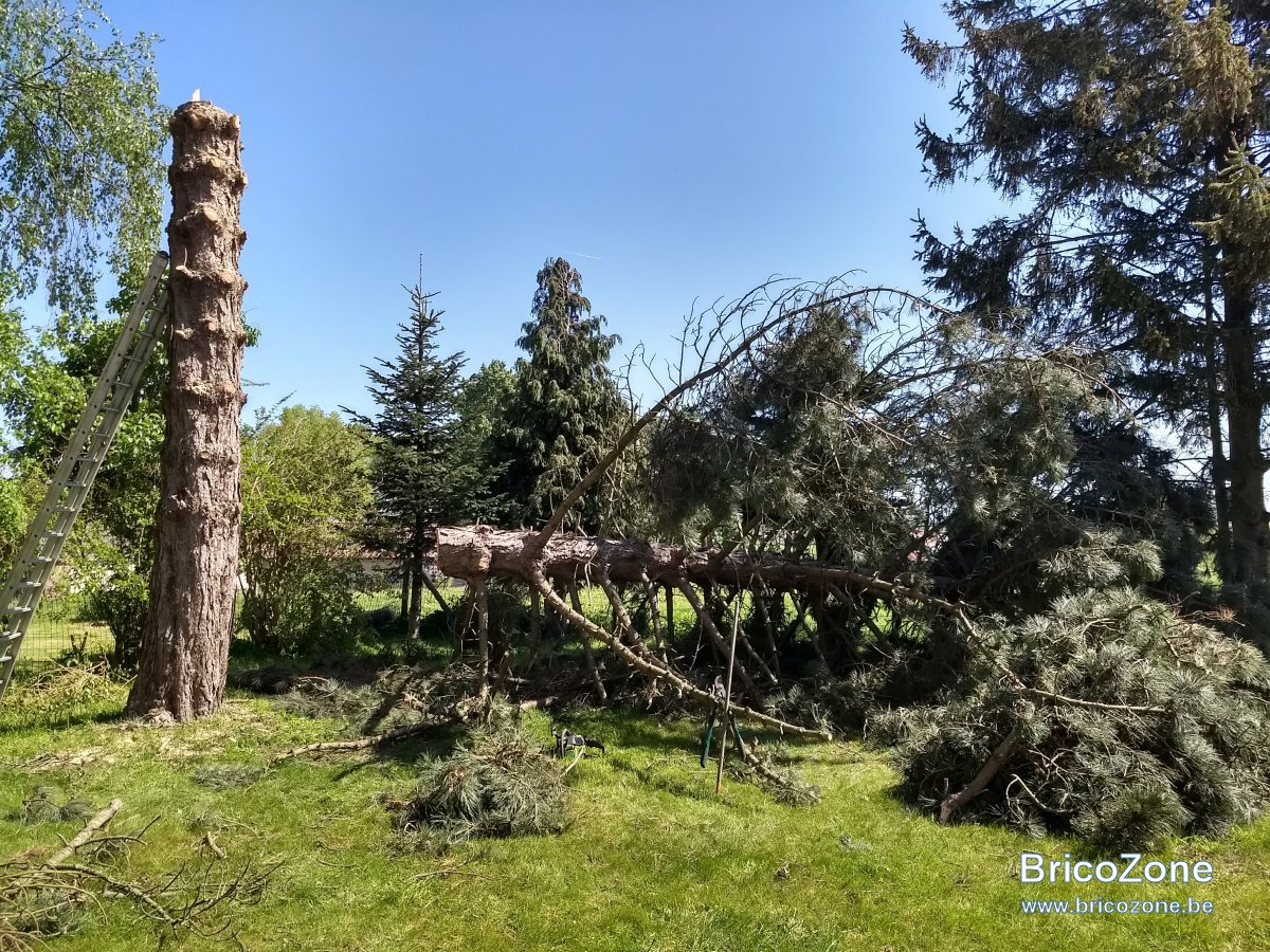 IMG_20180506_114653715_HDR.jpg