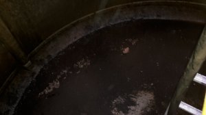 20180521_103343.jpg