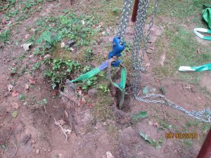 IMG_1979.JPG