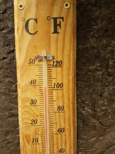 20180726_151640 (Moyen).jpg