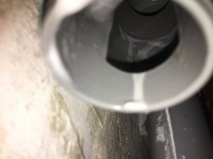 13E90391-8F74-41A7-A0E8-74C8A43B4DE1.jpeg