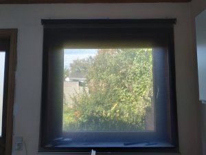 IMG_20180930_132048.jpg