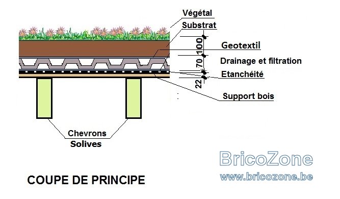 TOIT PLAT végétal non isolée.jpg
