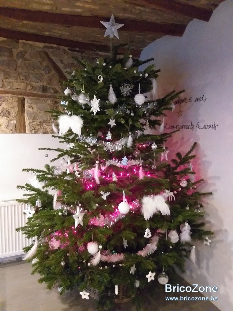 20181202_153621.jpg