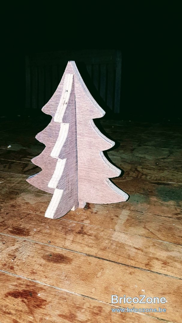 20181203_182912 (Moyen).jpg