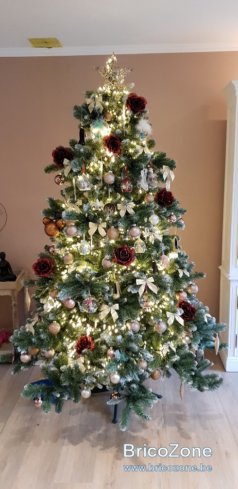 Sapin (2).jpg