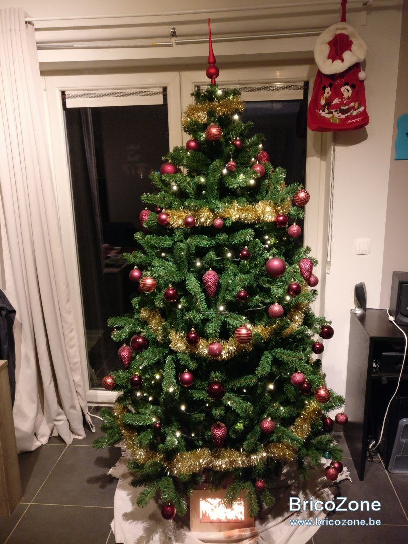 IMG_20181209_183436.jpg