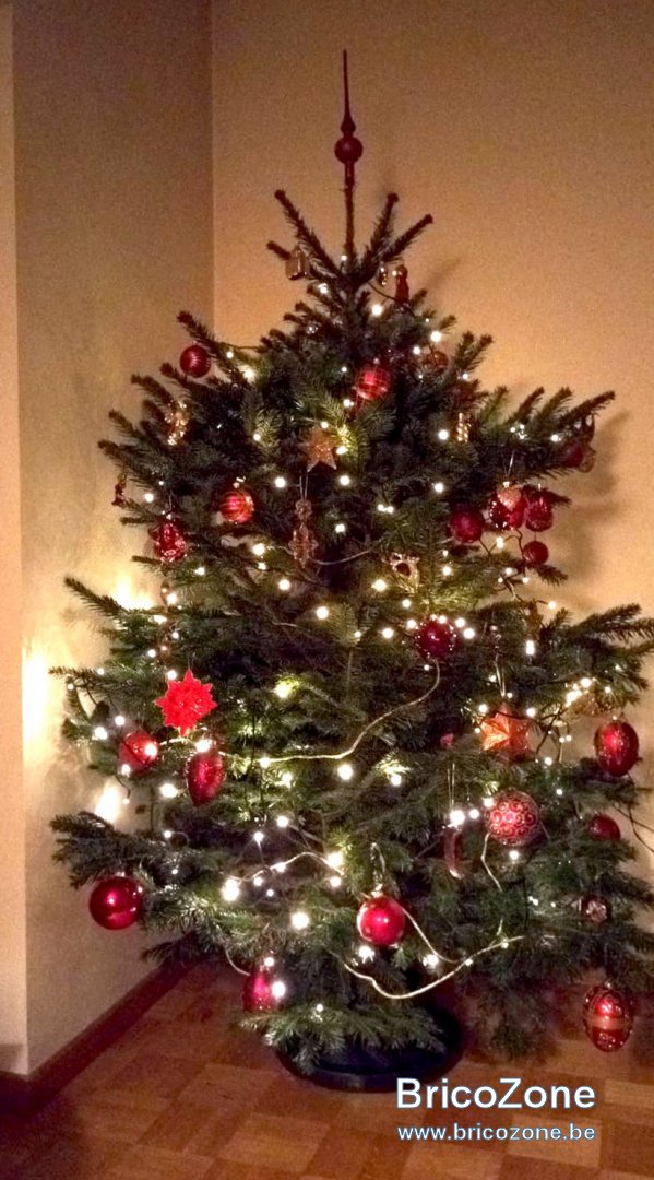 Sapin_Noel_2018.jpg
