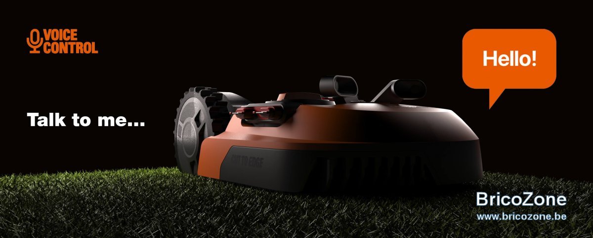 WORX 2019 49704210_1908114575973035_9218886965716320256_o.jpg