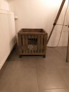 20190117_211504.jpg