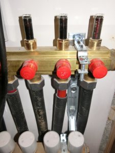 CIMG7038.JPG