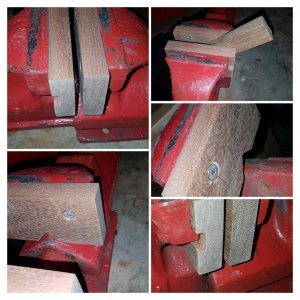 20190216_180429-COLLAGE.jpg