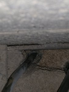 IMG_20190217_163529.jpg