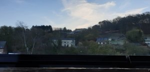 20190226_080656.jpg