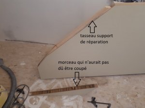 20190310_150006.jpg