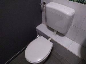 IMG_20190330_204545596.jpg