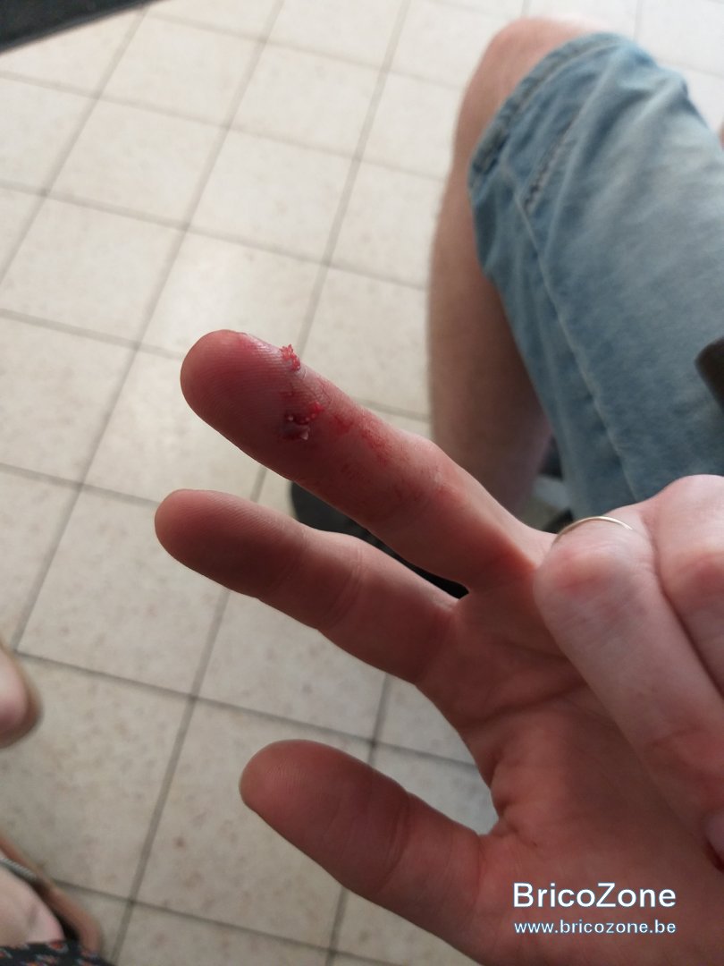 20190422_134613.jpg