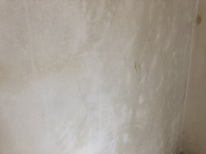 IMG_4352.JPG