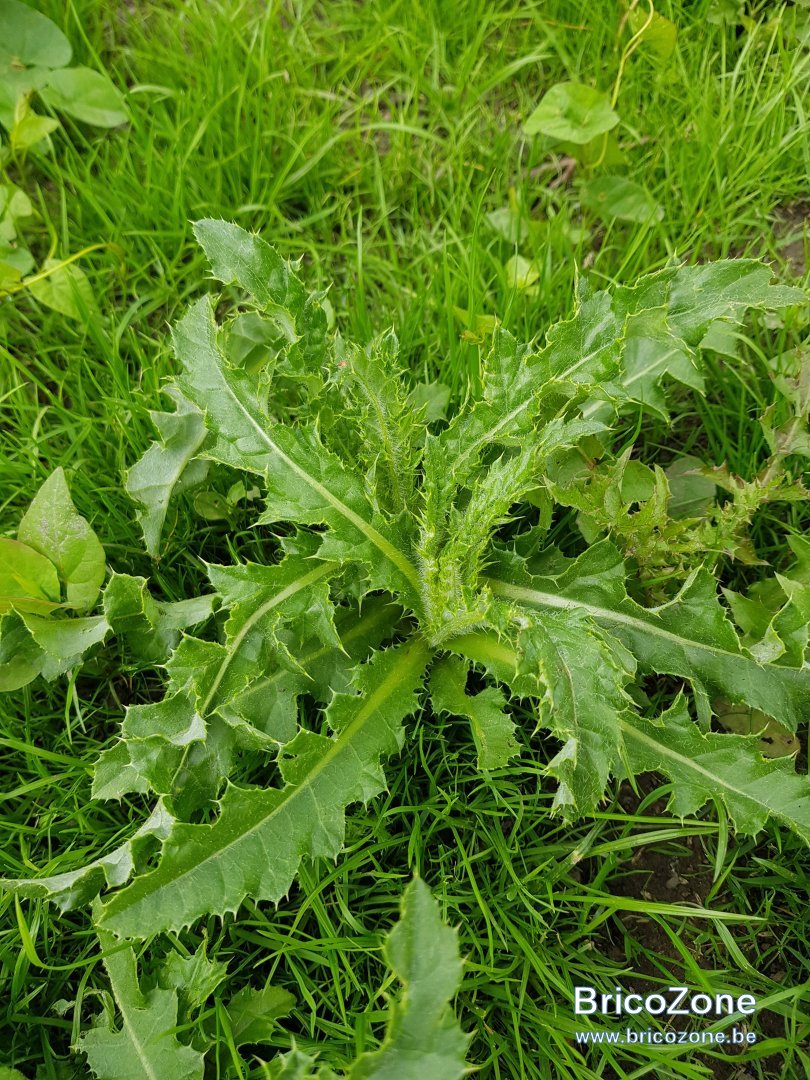 20190526_154137.jpg