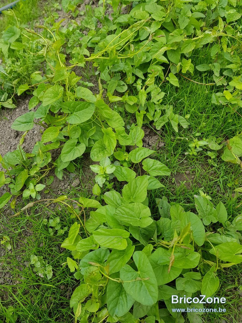 20190526_154142.jpg