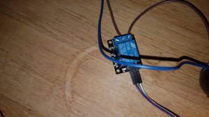 20190527_165338 (Moyen).jpg