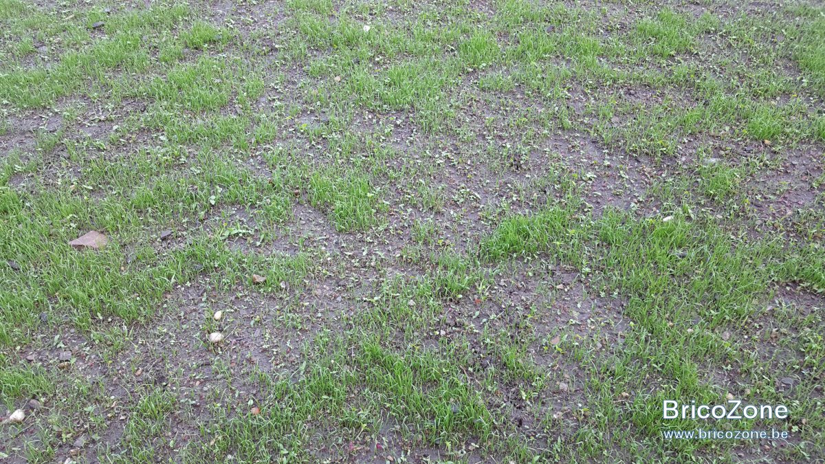 20190602_200114.jpg